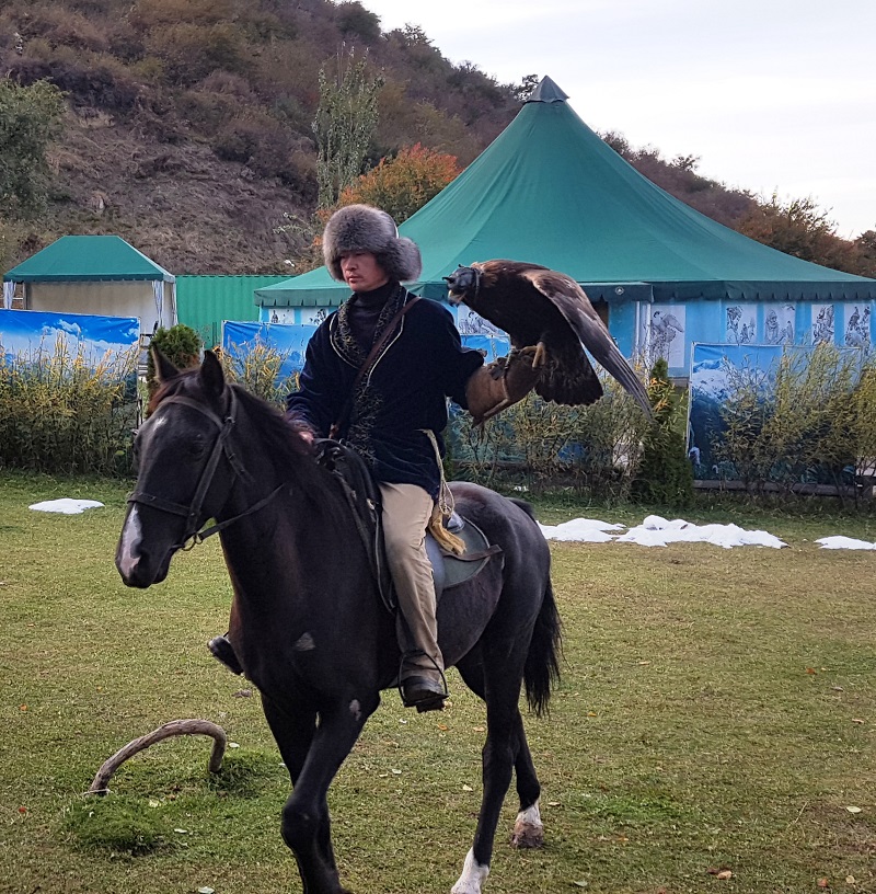 Falkshow