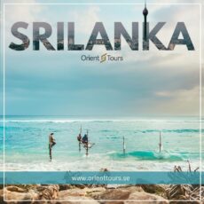 Natur kultur och strand