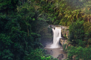 Ba Be Nationalpark Vietnam