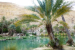 Vandring i Oman