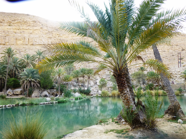 Vandring i Oman