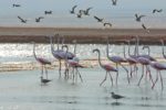 Strandvistelse i Eilat, Israel
