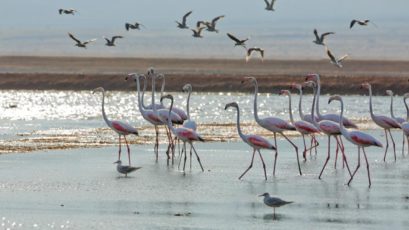 Strandvistelse i Eilat, Israel