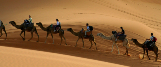 En kort resa till Dakhla, Marocko