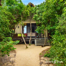 Jungle Beach