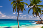 Banyan Tree Seychelles