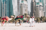 Dubai Upplevelse