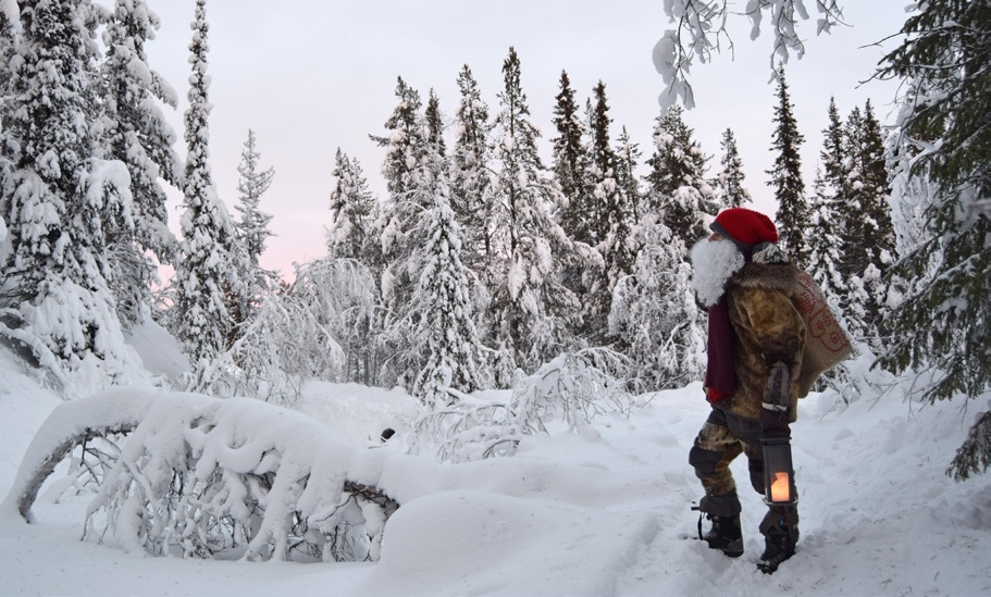 Santa Fetching Christmas Tree