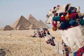 Triopaket Egypten