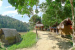 Naturens godbitar