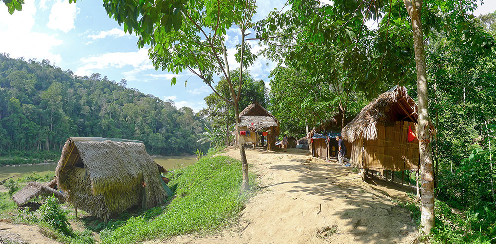 En av naturens godbitar - Orang Asli, Malaysia