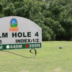 Palm-Hole4-Afamosa