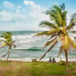 Fin palmkantad sandstrand
