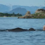 Gal Oya Lodge - 9, Nationalpark, Sri Lanka