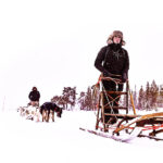 Dogsleigh in Lapland