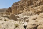 Oman Reseguide
