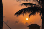 Startpaket i Negombo