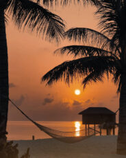 Startpaket i Negombo