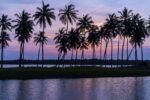 Golfvistelse i Hambantota