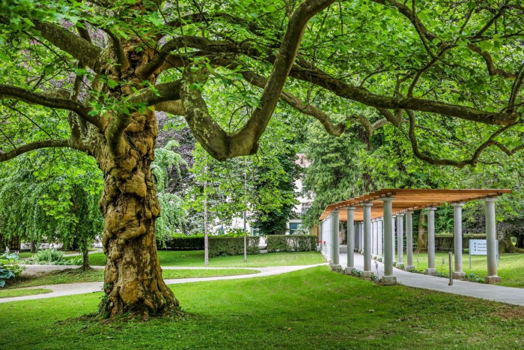 Therme Dobrna Park