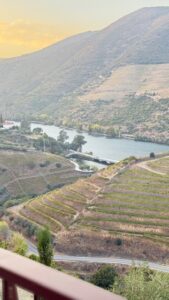 Douro-dalen