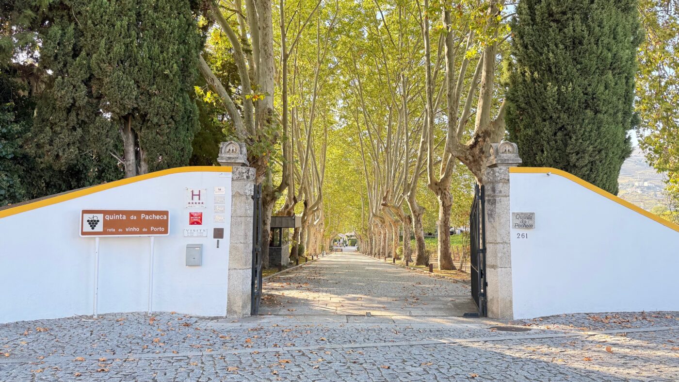 Douro-dalen Quinta da Pacheca