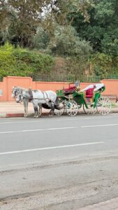 Hästtaxi i Marrakech
